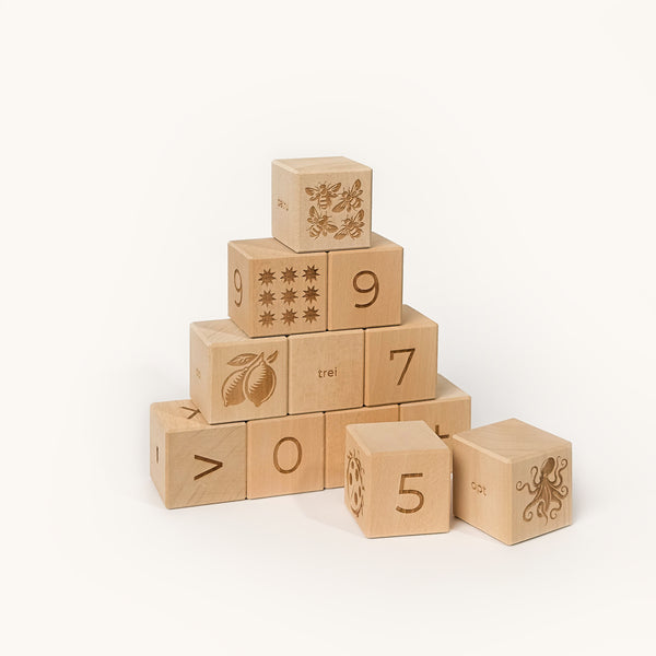 Wooden Number Blocks