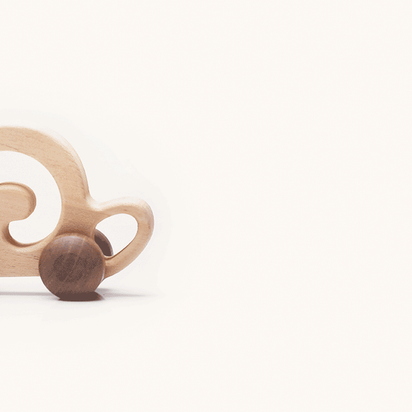 Snail Rolling Toy